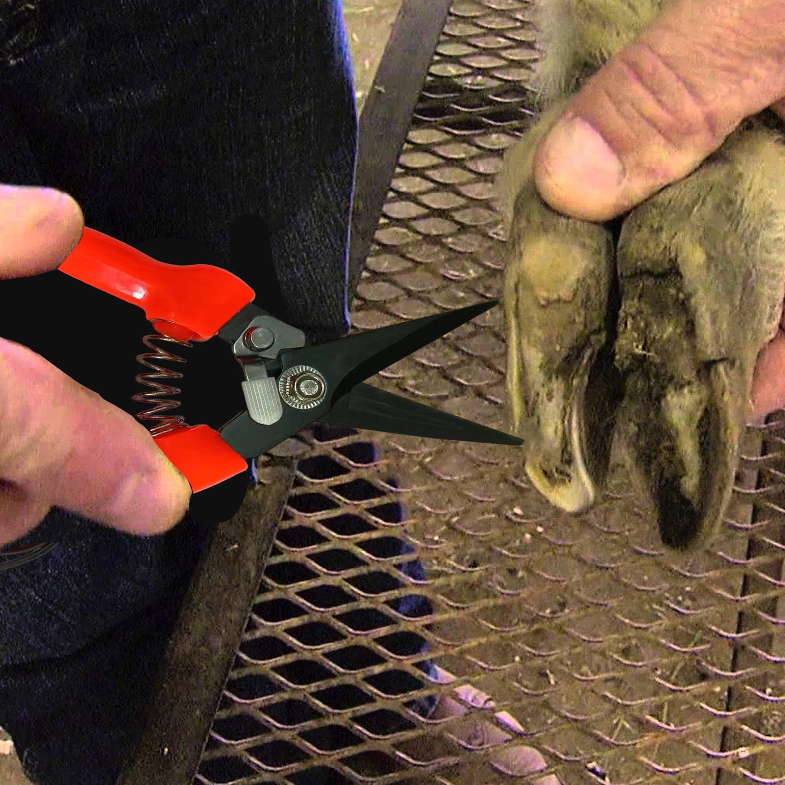 Garden Hand Trowel - Sheep Hoof Trimmers Shrub Plant Floral
