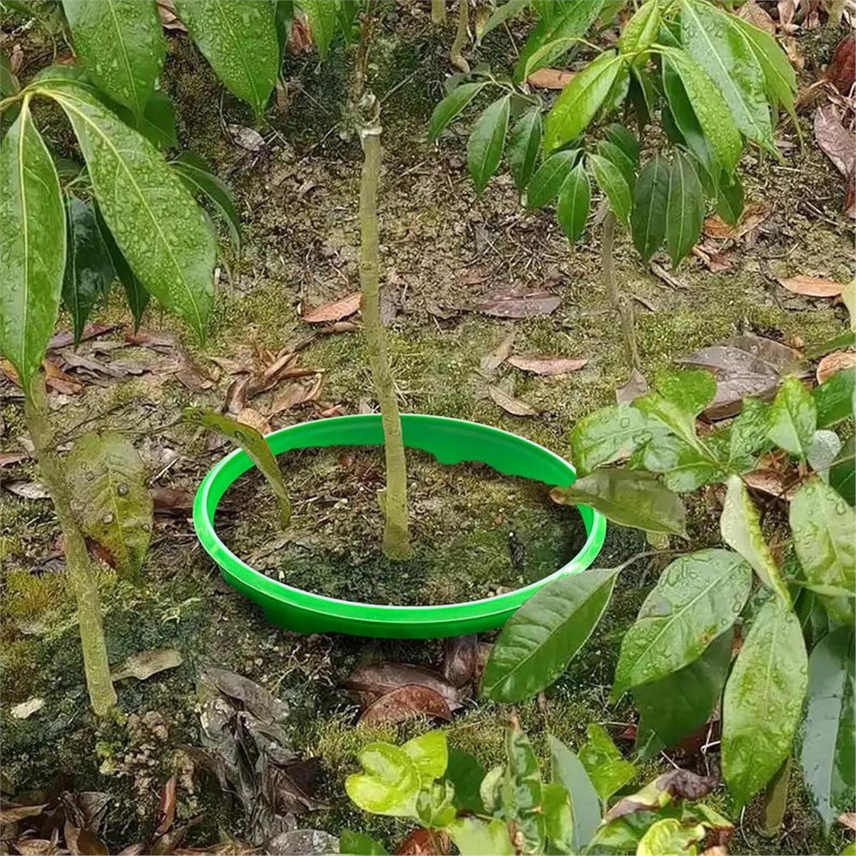 【COUNTDOWN DEAL】 4 Plant Guard - Gardening Tools Deals ulasan dan harga
