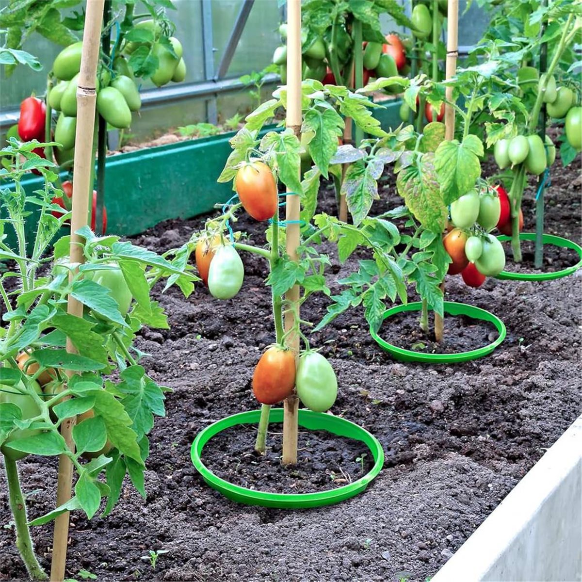 【COUNTDOWN DEAL】 4 Plant Guard - Gardening Tools Deals ulasan dan harga