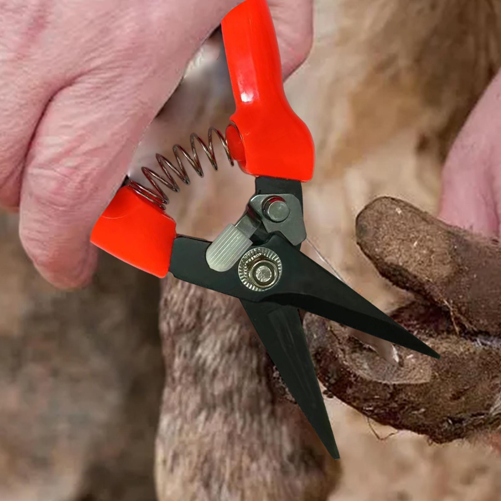 Sheep Hoof Trimmers Shrub Plan - Garden Hand Trowel ulasan dan harga