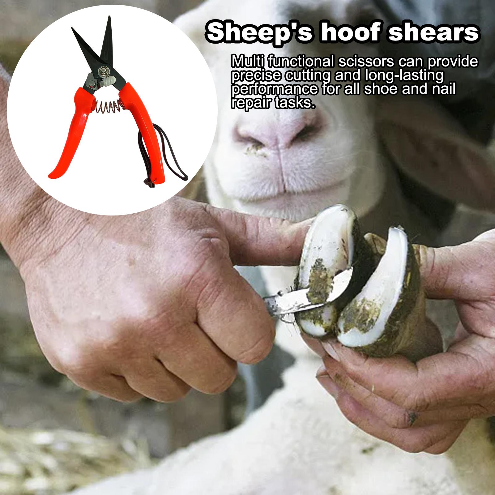 Sheep Hoof Trimmers Shrub Plan - Garden Hand Trowel ulasan dan harga