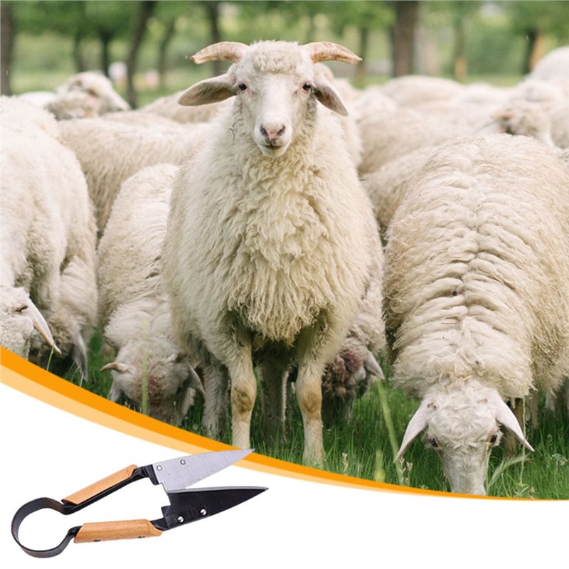 【FLASH DEAL】Heavy Duty 13Inch  - Gardening Tools Deals ulasan dan harga