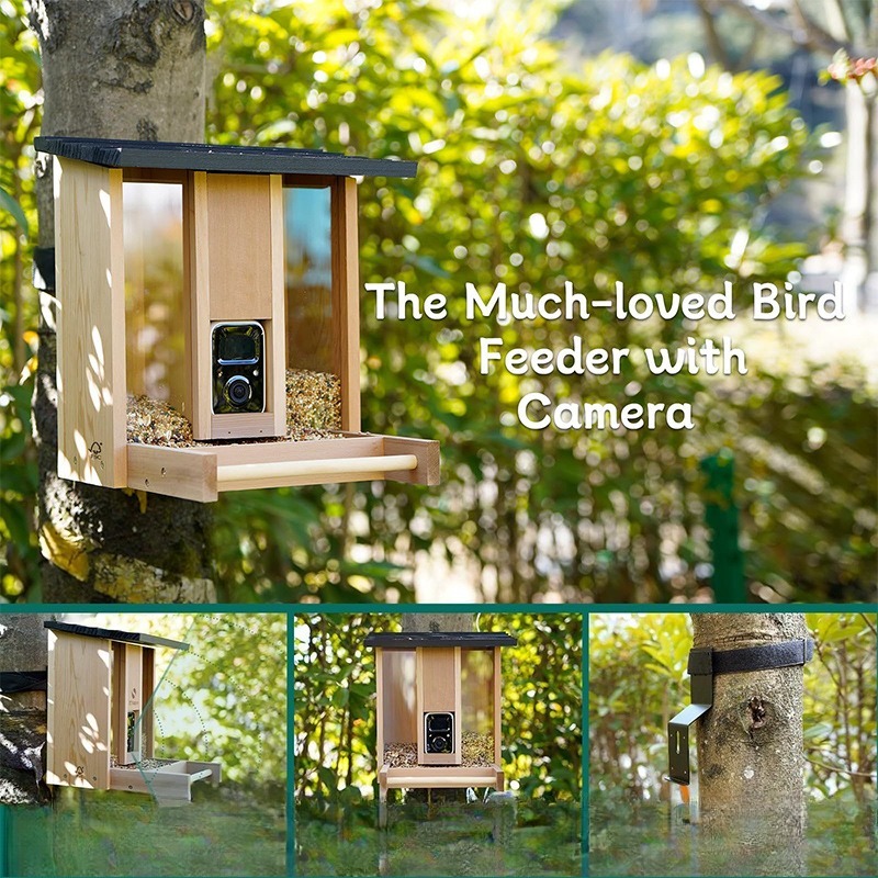 AI intelligent bird feeder wit - Gardening Tools With Definition ulasan dan harga