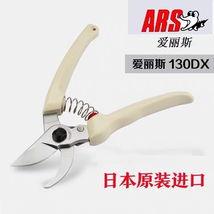 Pruning scissors, garden tools - Gardening Tools Japan ulasan dan harga