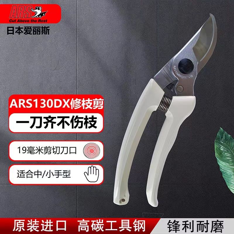 Pruning scissors, garden tools - Gardening Tools Japan ulasan dan harga