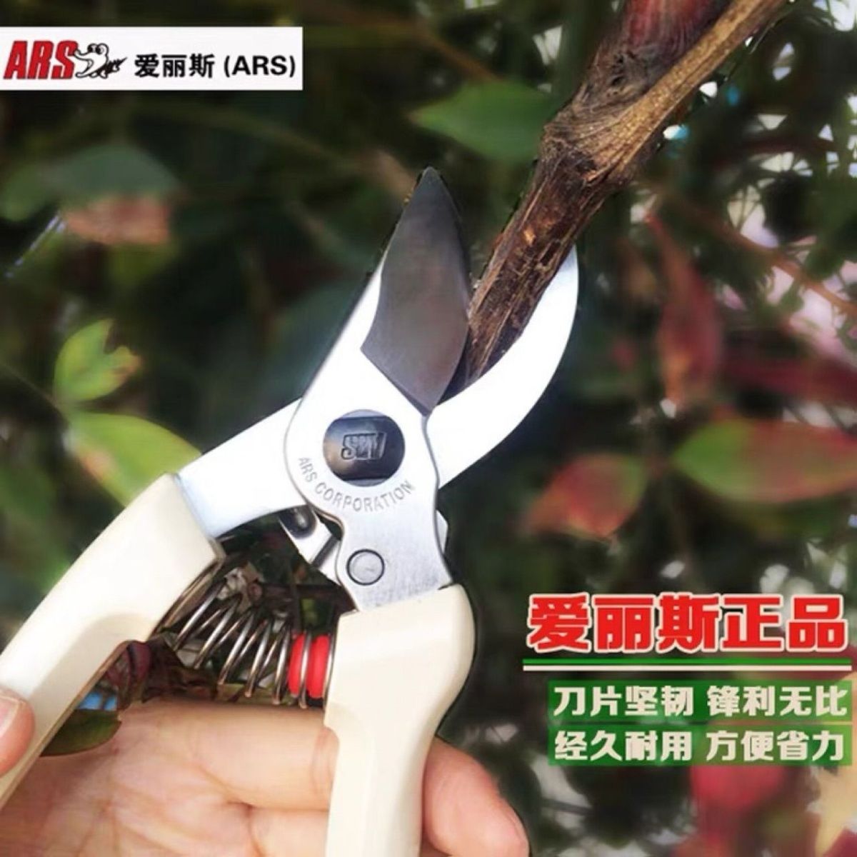 Pruning scissors, garden tools - Gardening Tools Japan ulasan dan harga