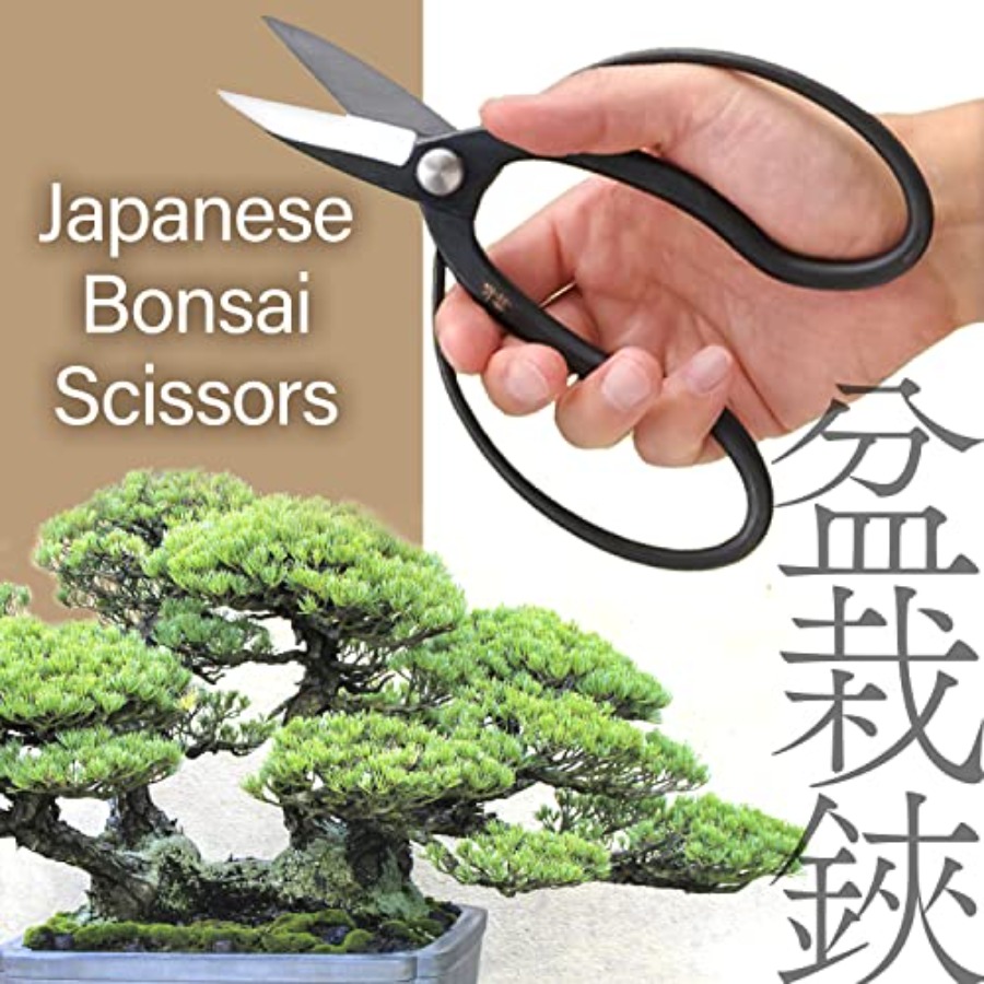 Japanese Suiryu Bonsai Scissor - Gardening Tools Japan ulasan dan harga