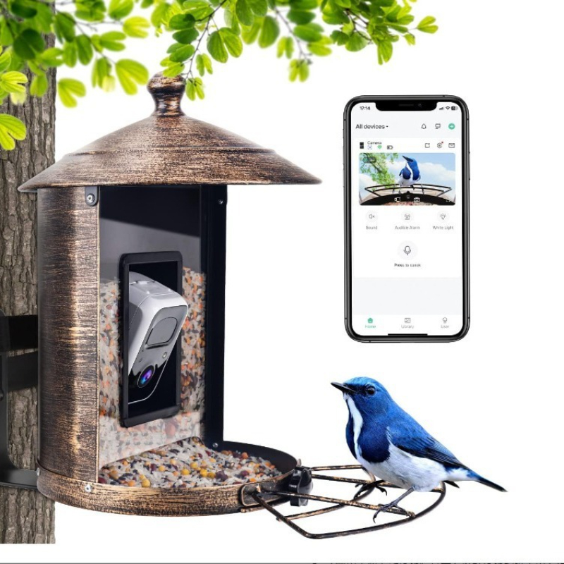 AI intelligent bird feeder wit - Gardening Tools With Definition ulasan dan harga
