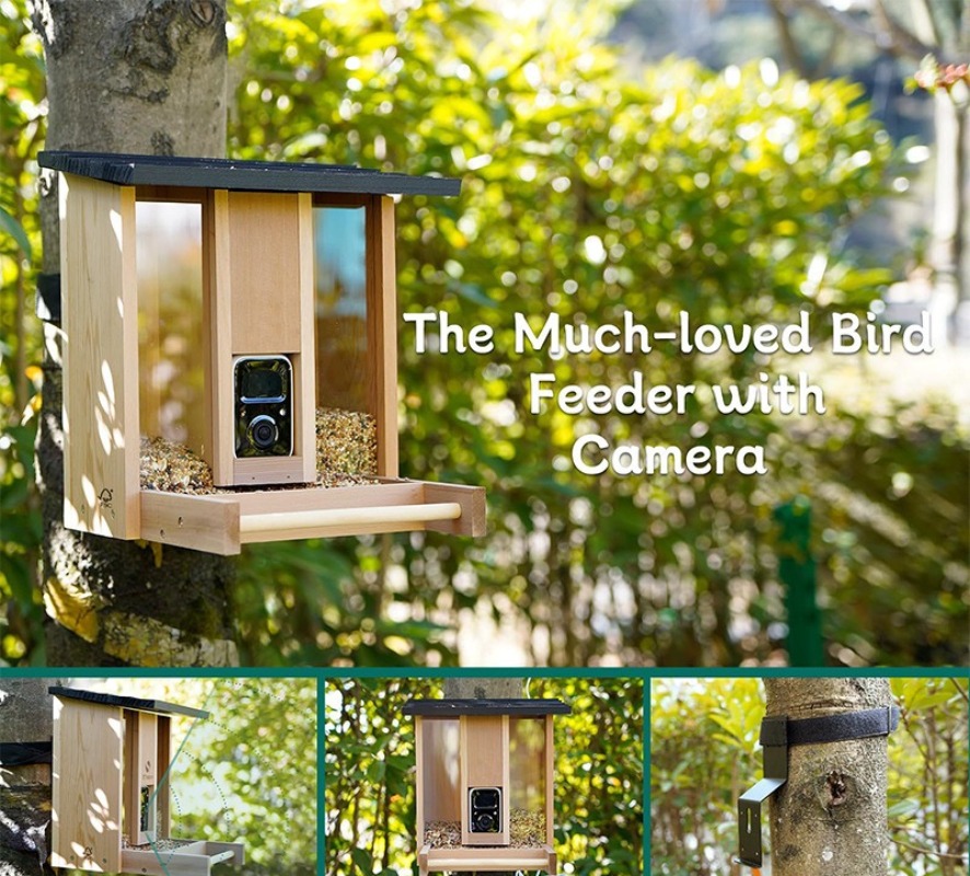 AI intelligent bird feeder wit - Gardening Tools With Definition ulasan dan harga