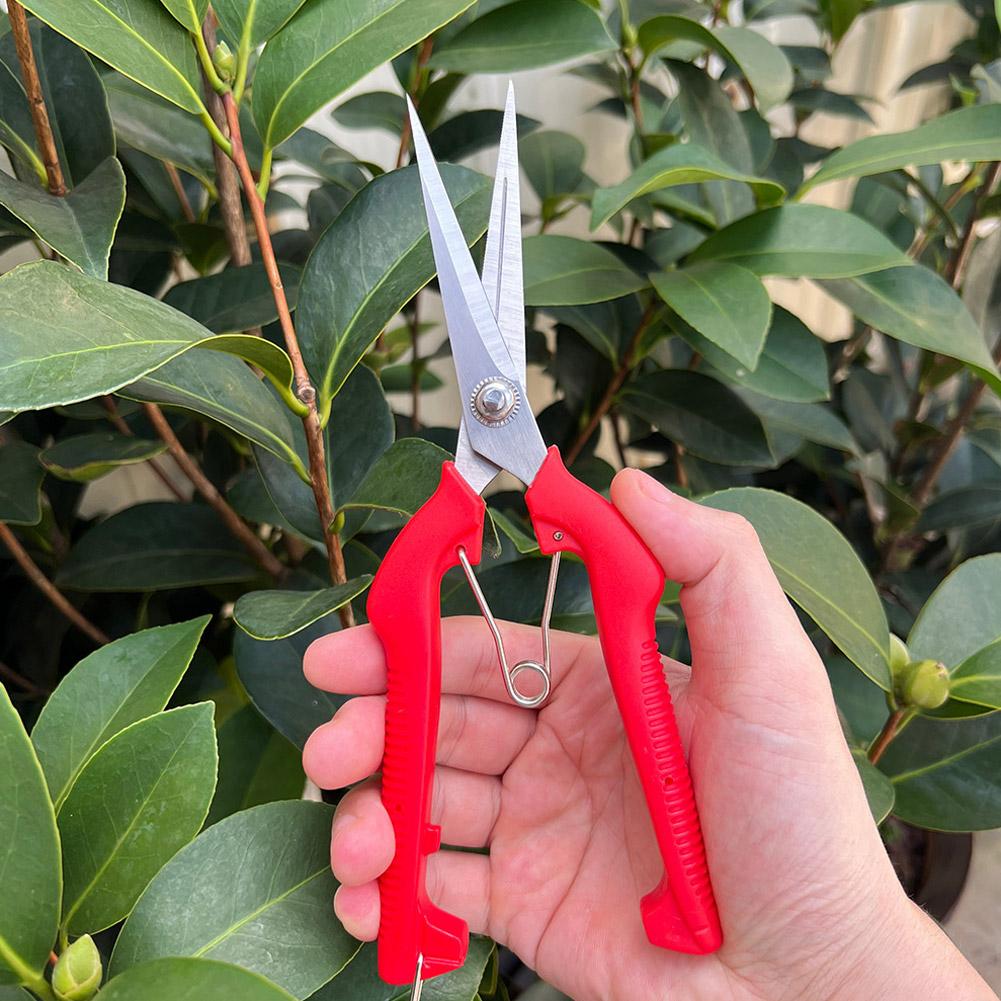 Pro Garden Pruning Shears Leng - Essential Gardening Tools ulasan dan harga