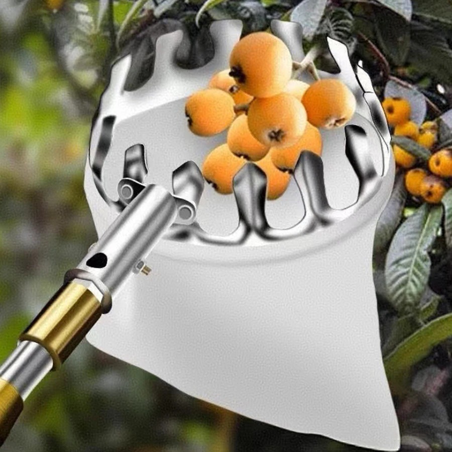 Professional Berry Picker Tool - Gardening Tools Rack ulasan dan harga