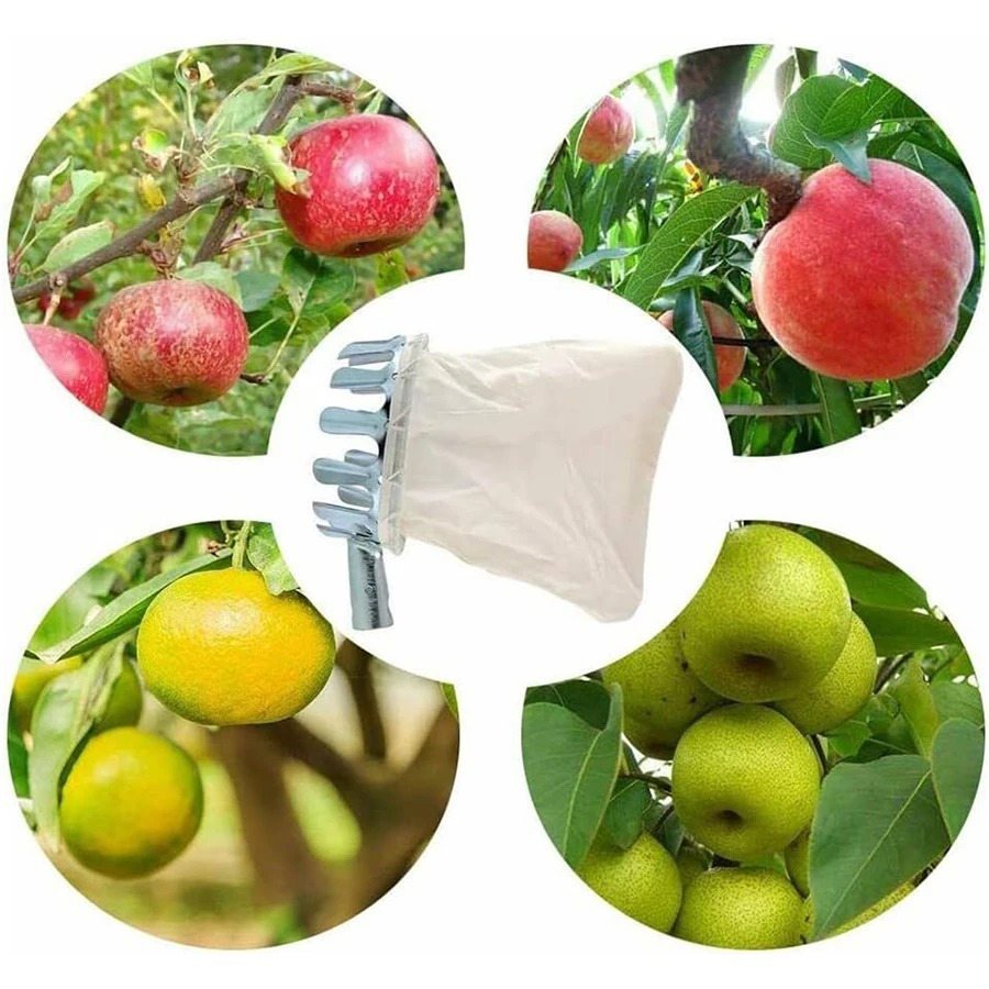 Professional Berry Picker Tool - Gardening Tools Rack ulasan dan harga