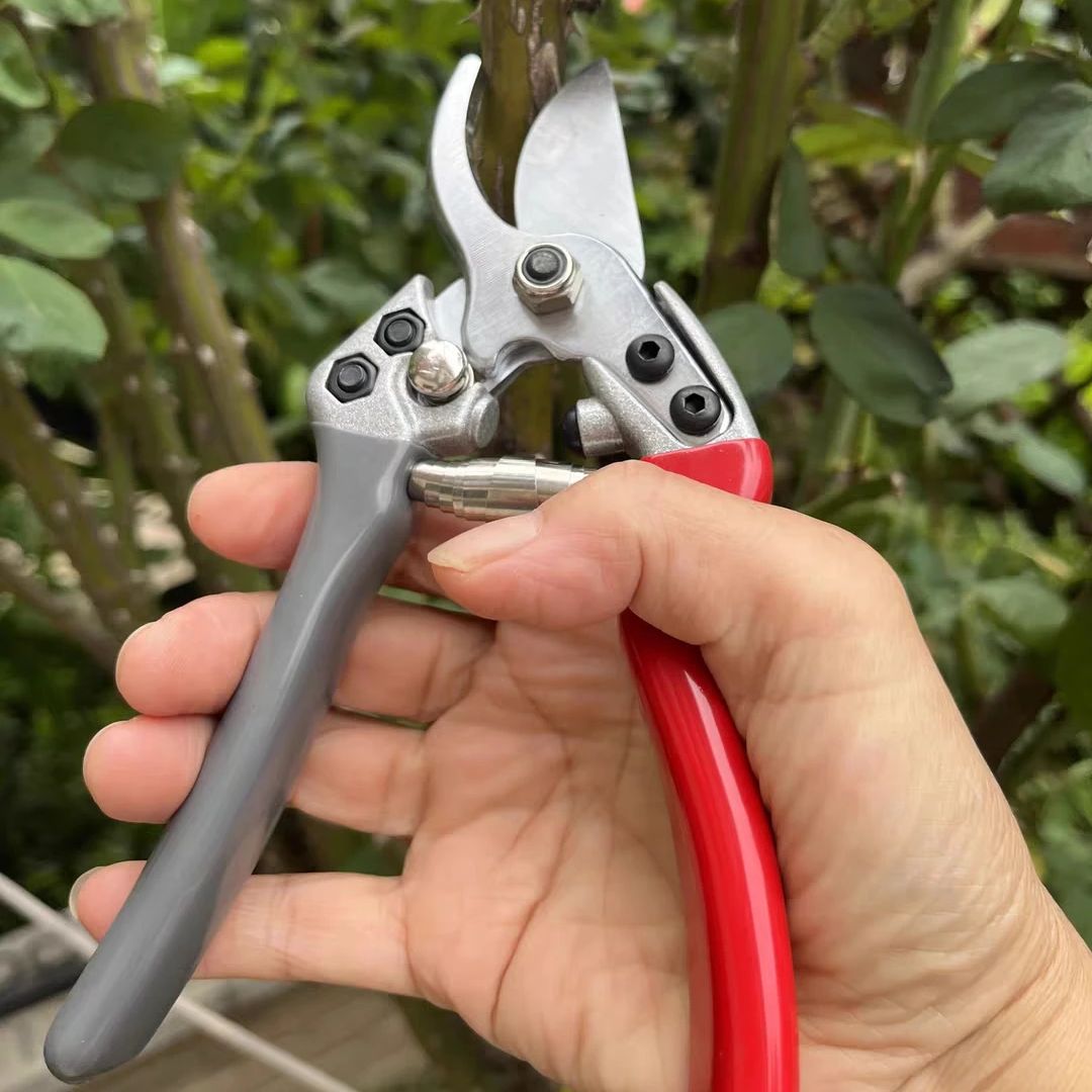 Japan Vvt New Sk5 Strong Garde - Gardening Tools Japan ulasan dan harga