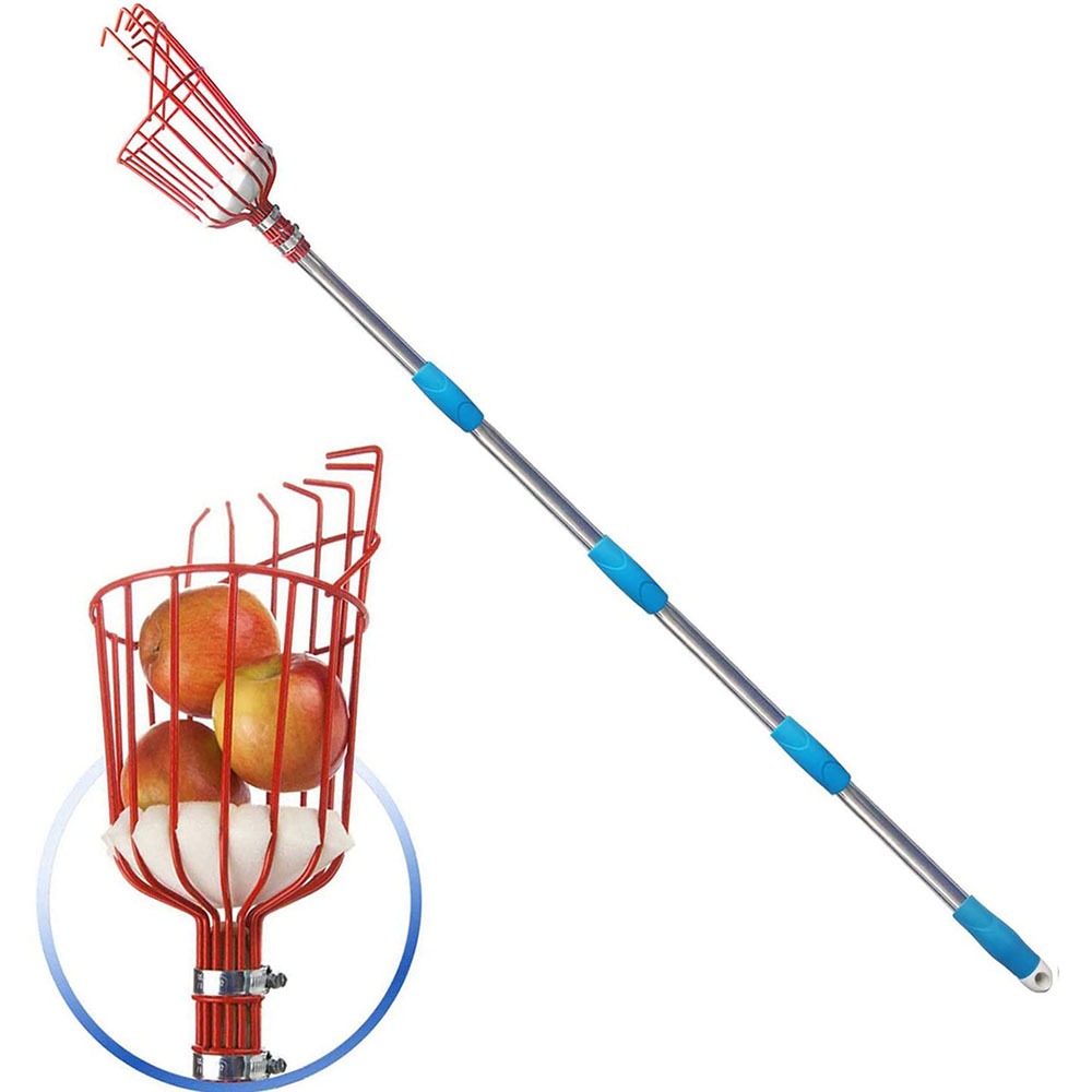 260cm Fruit Picker, Adjustable - Gardening Tools Organizer ulasan dan harga